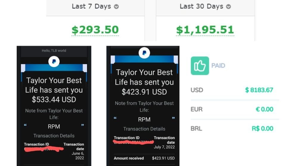 Rapid Profit Machine (FREE Affiliate Program) is a No Brainer! 2022 Review 2 Rapid Profit Machine review payment proof