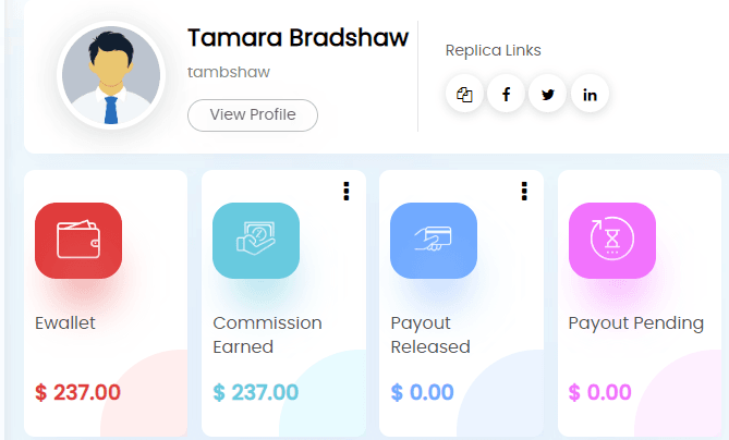 Text ALN Review: 3 Ways You Earn BIG with SMS Marketing 10 Text ALN review matrix dashboard
